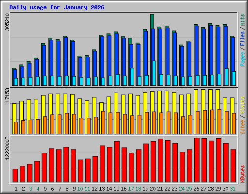 Daily usage for January 2026