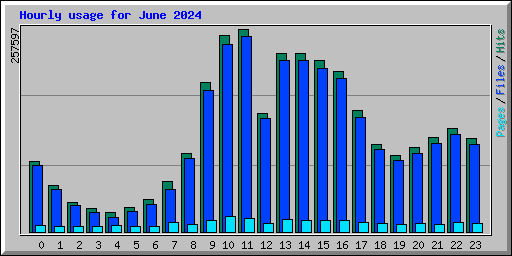 Hourly usage for June 2024