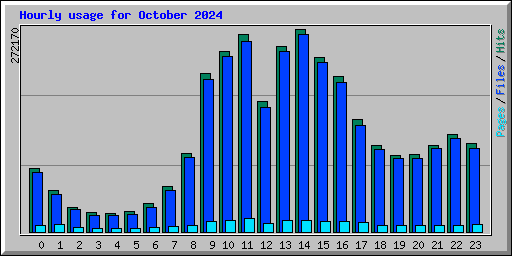 Hourly usage for October 2024