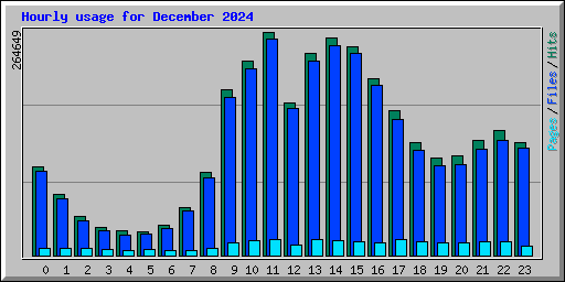 Hourly usage for December 2024