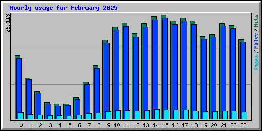 Hourly usage for February 2025