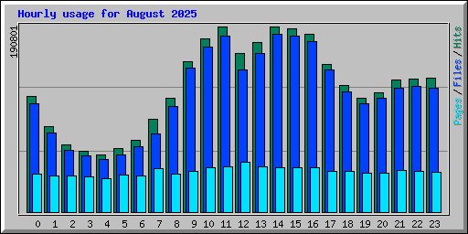 Hourly usage for August 2025
