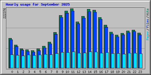 Hourly usage for September 2025