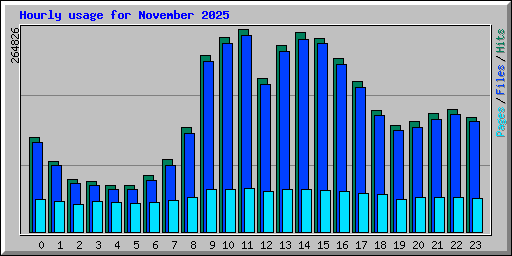 Hourly usage for November 2025