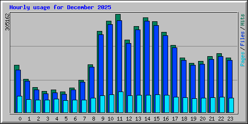 Hourly usage for December 2025