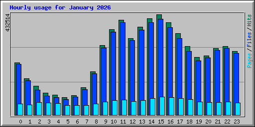 Hourly usage for January 2026